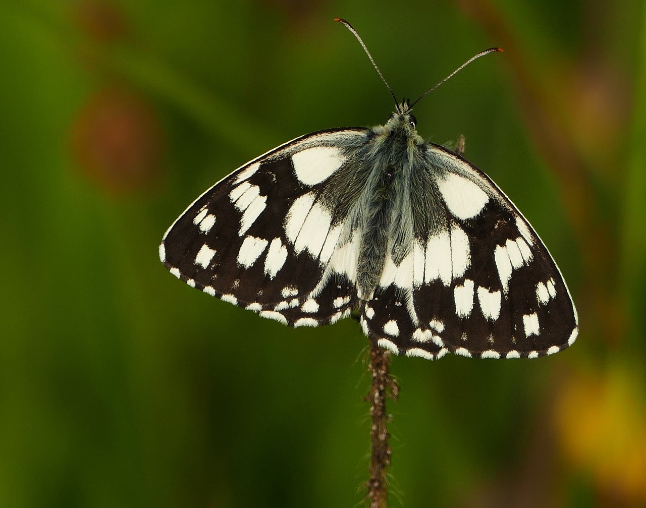 容縣二手房最新信息概覽，最新房源、價格及交易動態(tài)一網(wǎng)打盡！
