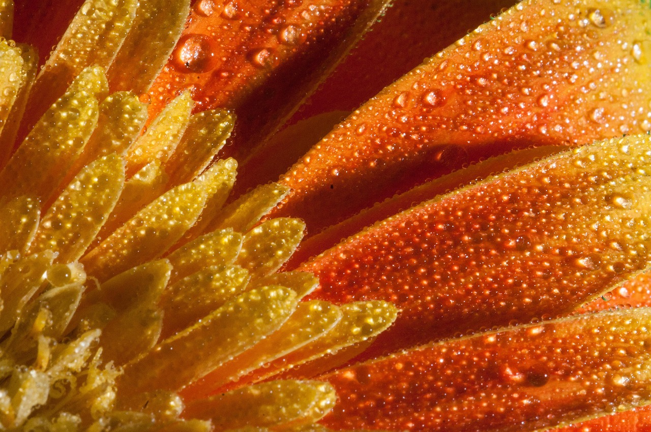 鄭州東岸尚景最新動(dòng)態(tài)，城市新篇章的璀璨明珠