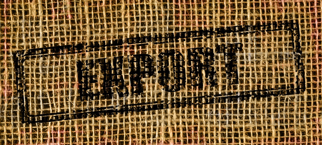 千里清秋 第15頁(yè)