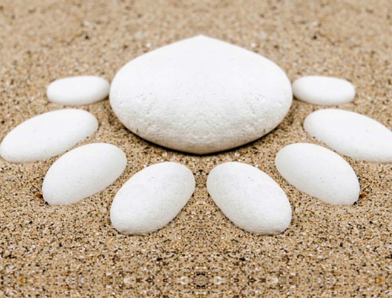 本兮官網(wǎng)最新動態(tài)，音樂之旅全新啟程