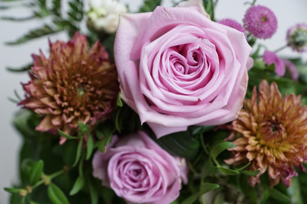 金谷美麗城最新動態(tài)，揭開未來繁華序幕