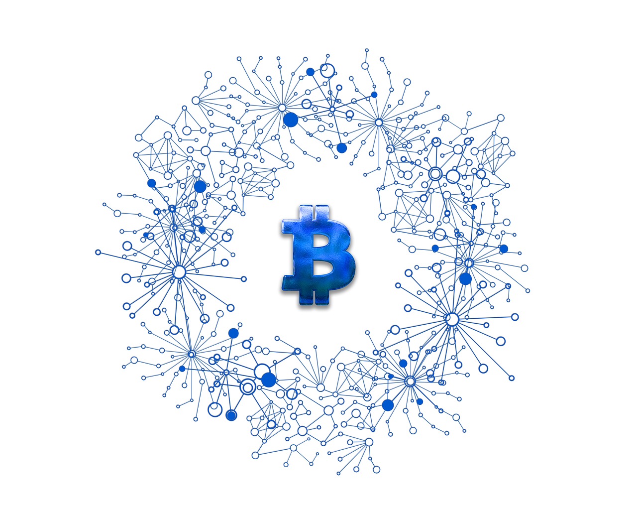 美人魚幣最新動態(tài)，探索數(shù)字貨幣新領(lǐng)域