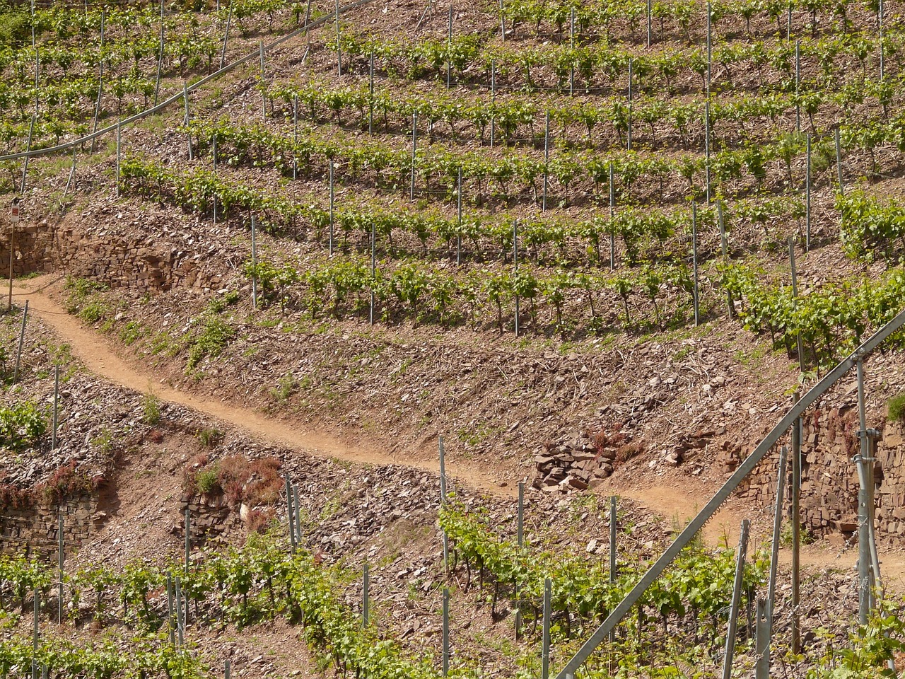 紅河谷論壇最新地址，全新探索與交流平臺(tái)的開啟