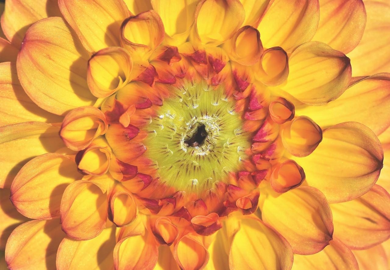 2025年1月 第10頁