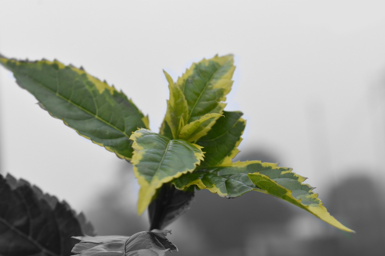 2025年1月 第2頁(yè)