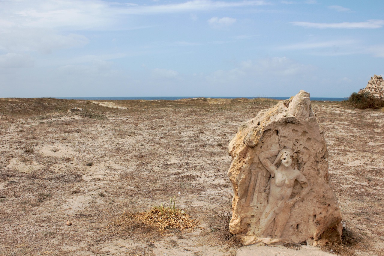 濱海旅游區(qū)新動(dòng)態(tài)，世界級(jí)旅游目的地打造最新消息