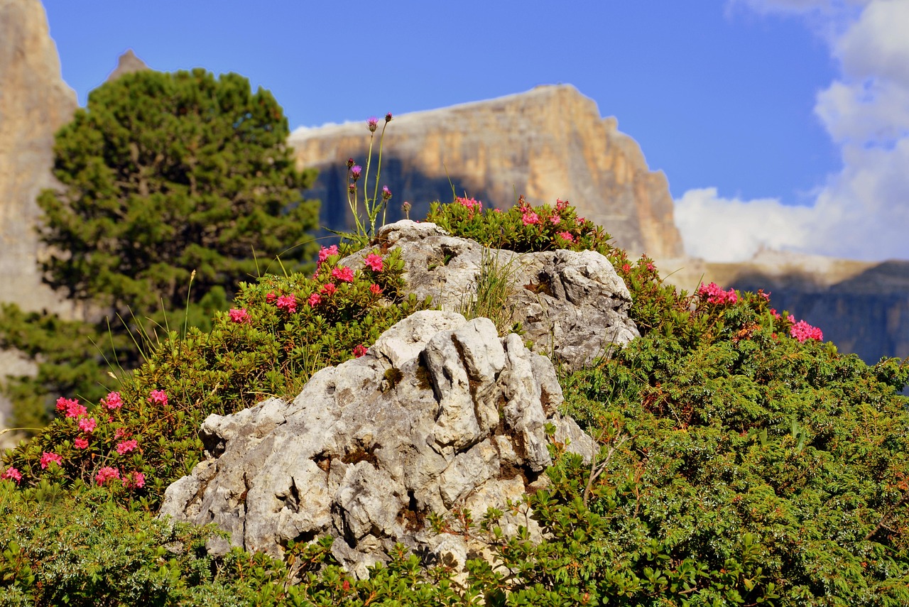 哈市道外區(qū)最新招聘動態(tài)，崗位發(fā)布與影響分析