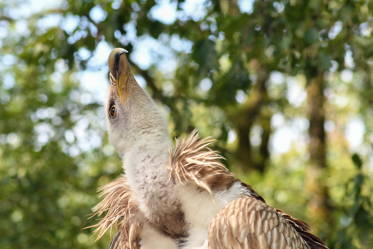 四川宜賓南溪最新房?jī)r(jià)動(dòng)態(tài)及市場(chǎng)趨勢(shì)深度解析