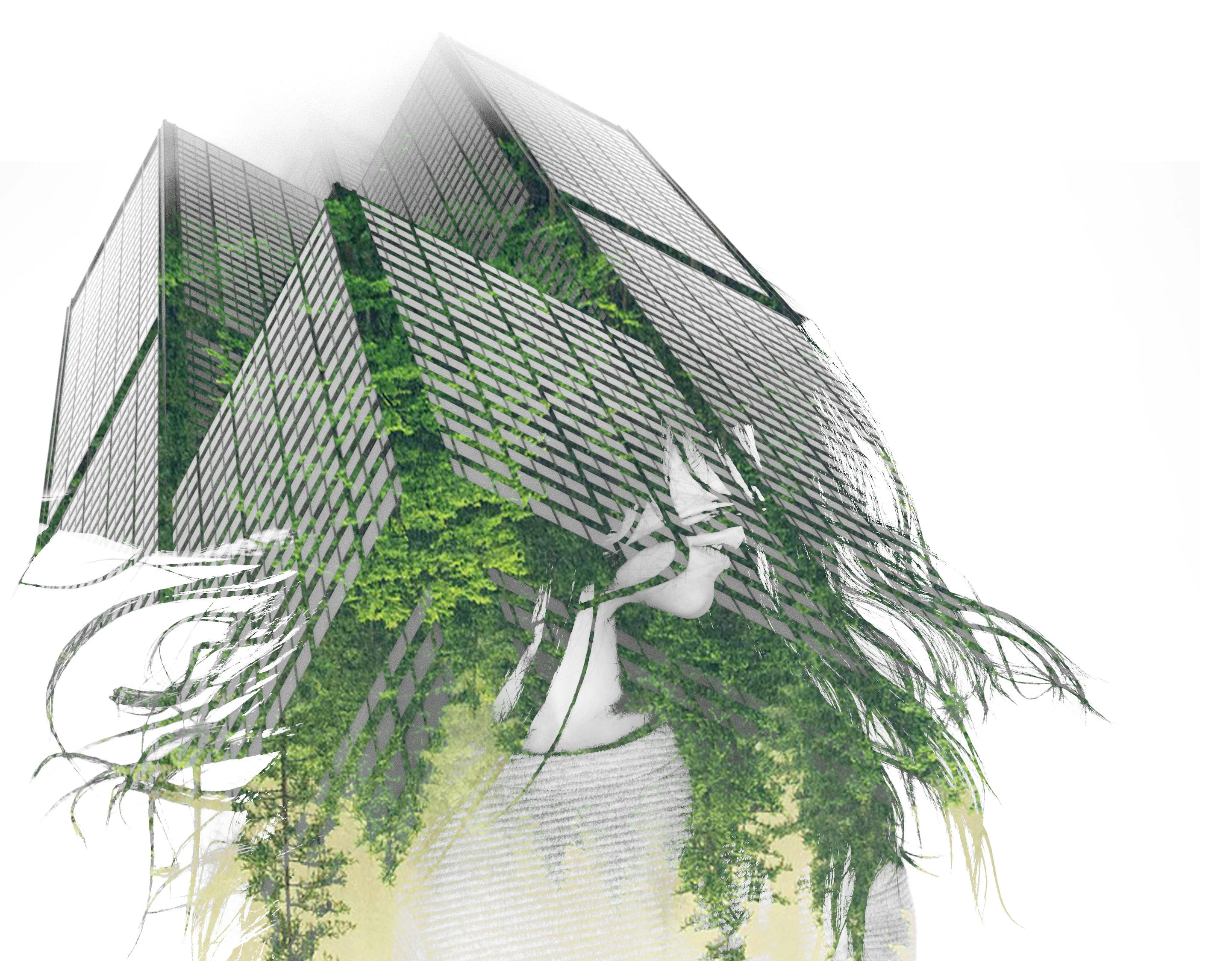 楊冪街拍生活照曝光，時尚潮流風(fēng)向標(biāo)的新動態(tài)