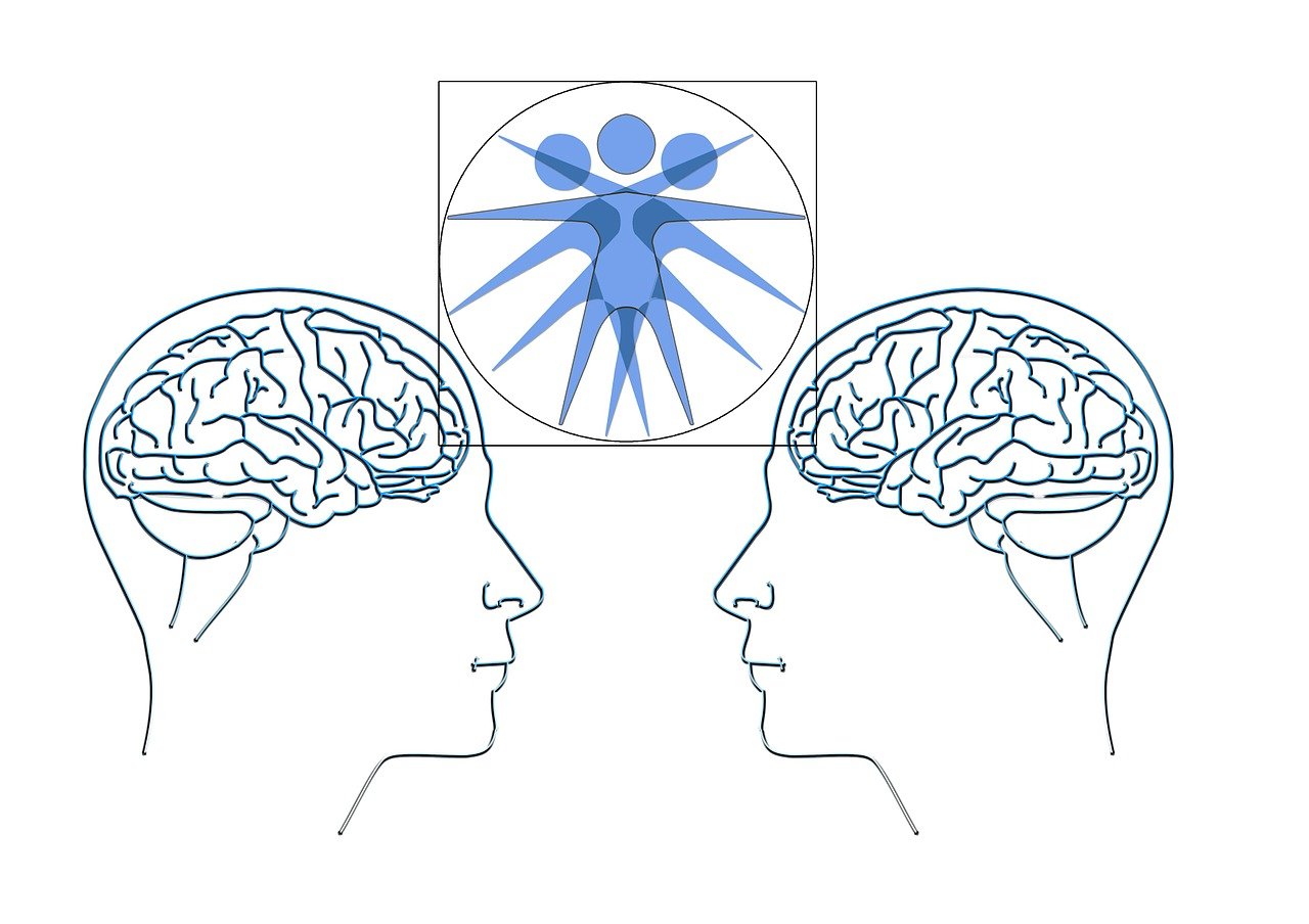 華海新天地最新情況概述，最新進(jìn)展與動(dòng)態(tài)速遞