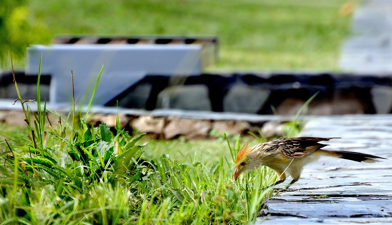 宜賓萬達廣場最新動態(tài)更新，最新消息一覽