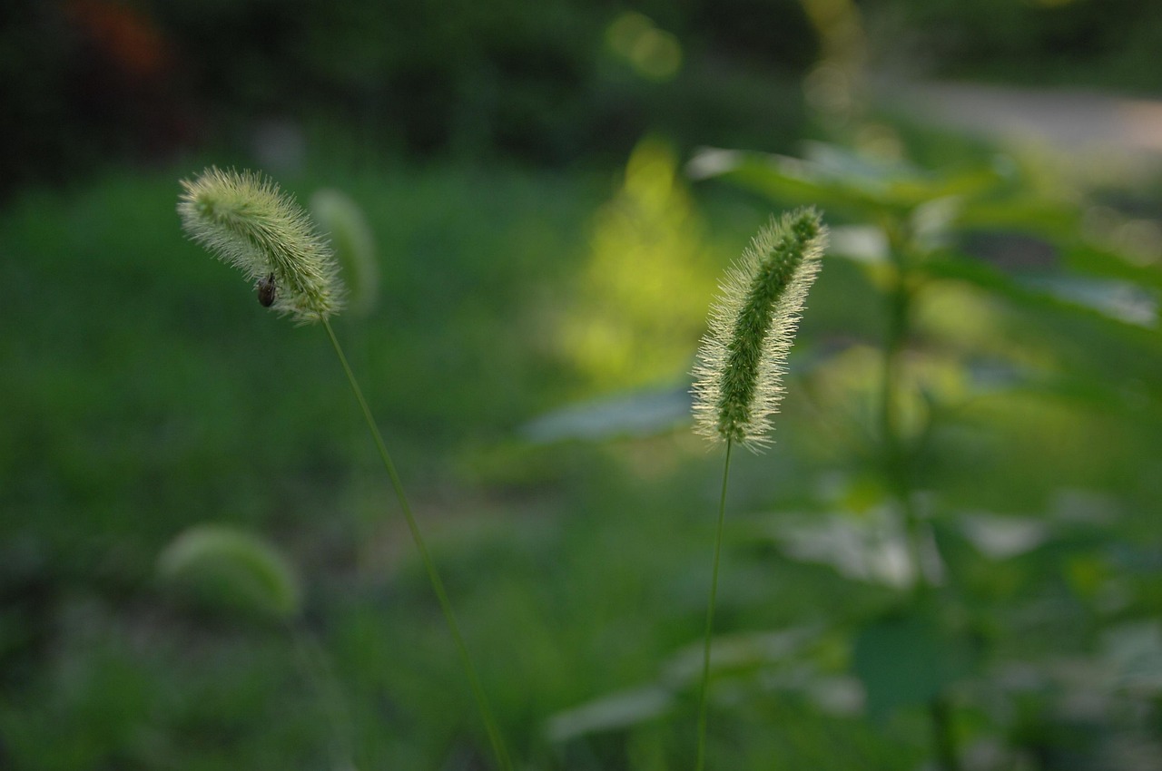 十堰陽(yáng)光棲谷最新房?jī)r(jià)動(dòng)態(tài)分析與趨勢(shì)預(yù)測(cè)