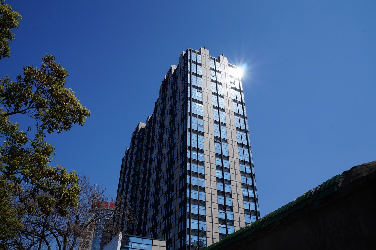 林口二手樓房最新發(fā)布，市場趨勢與購房指南