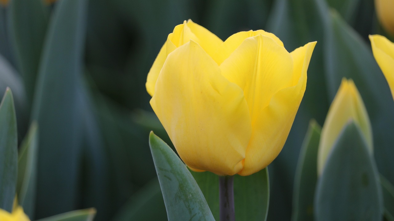 百色百投集團(tuán)最新招聘動態(tài)，戰(zhàn)略背后的意義與崗位更新