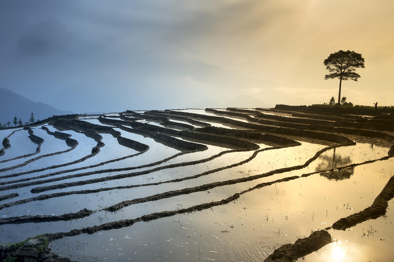 新鄉(xiāng)鳳泉湖最新進展揭秘，生態(tài)城市壯麗序幕正式拉開！