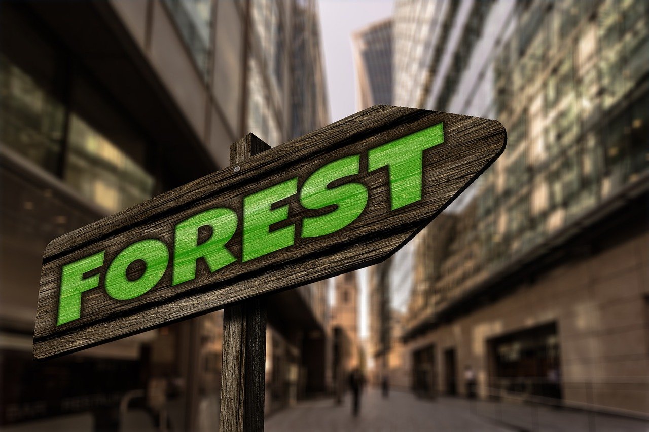 最新567彩票app下載體驗，探索最新版本的功能與優(yōu)勢