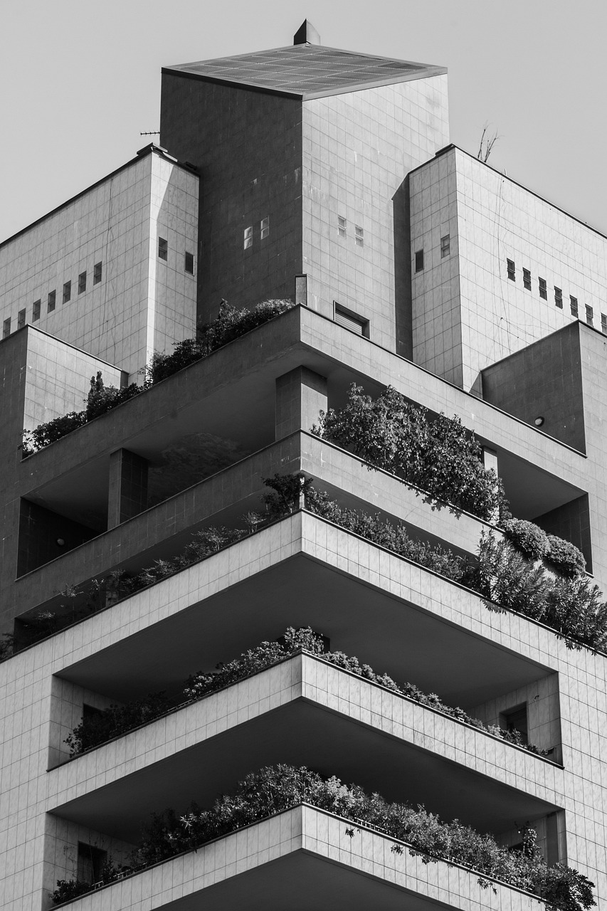 秦漢大道二期最新動(dòng)態(tài)，建設(shè)進(jìn)展及未來(lái)展望