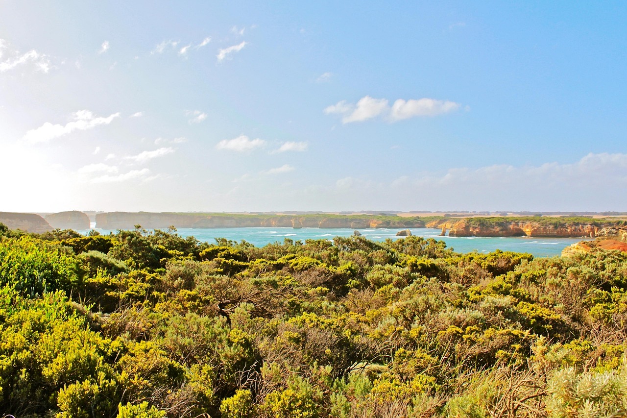 水洛鎮(zhèn)崖王村最新動態(tài)更新，最新消息匯總