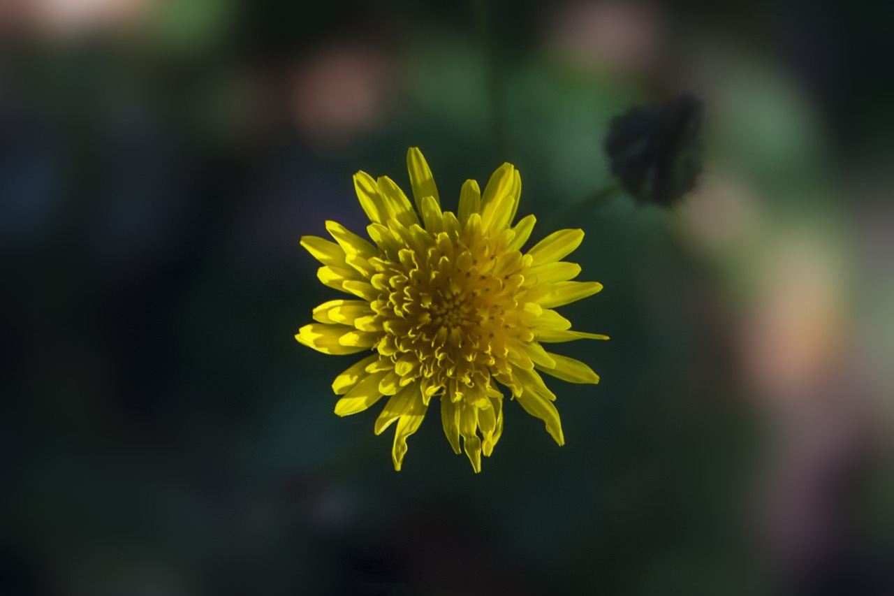 潢川龍江花園產(chǎn)權(quán)問題更新動(dòng)態(tài)，最新消息匯總