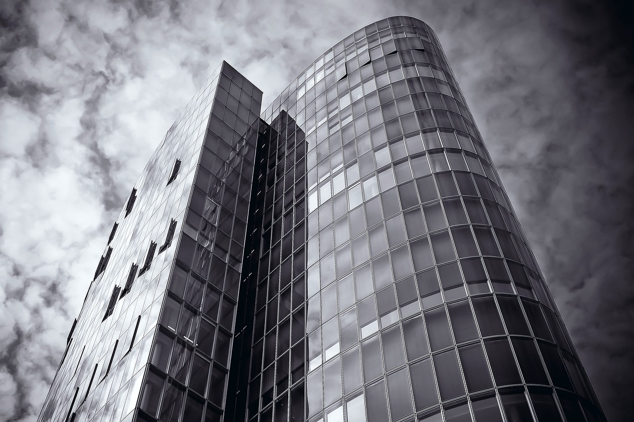 銀鷺萬(wàn)樹(shù)城最新消息全面解讀與分析