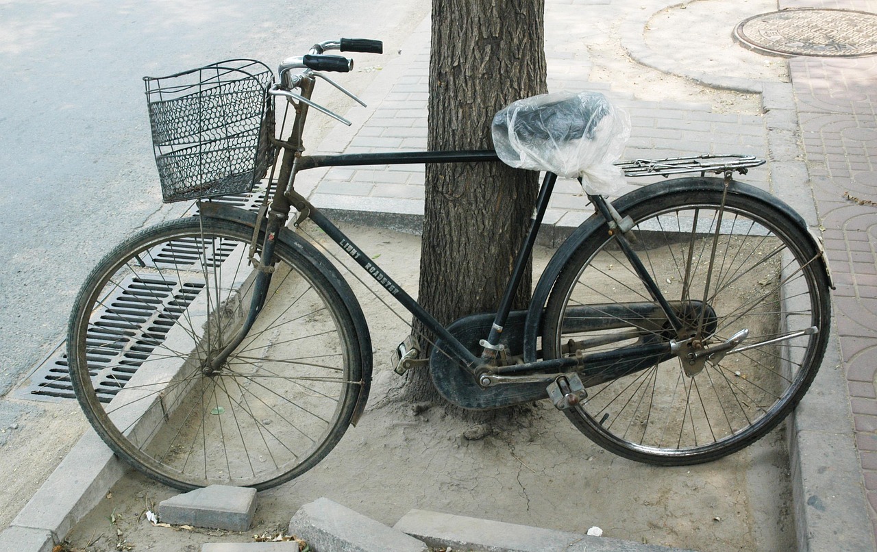 云商之家最新動態(tài)，張健引領變革之路