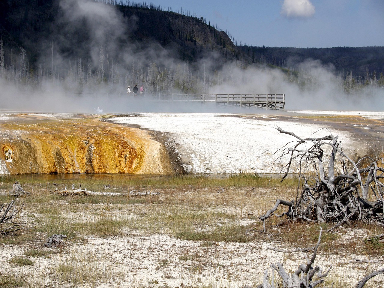宏澤中央公園最新動(dòng)態(tài)速遞，最新消息一覽