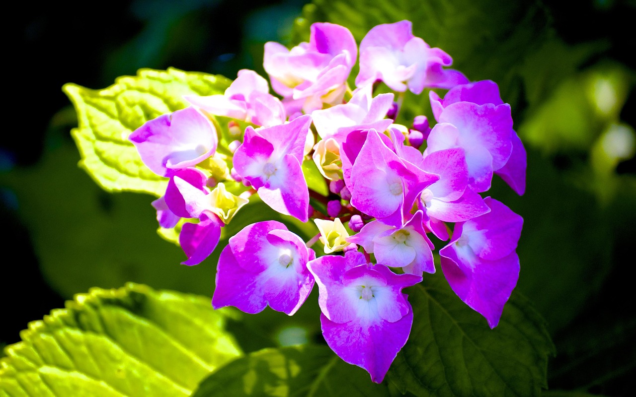 李景文將軍的最新動態(tài)，軍事生涯與卓越貢獻概述
