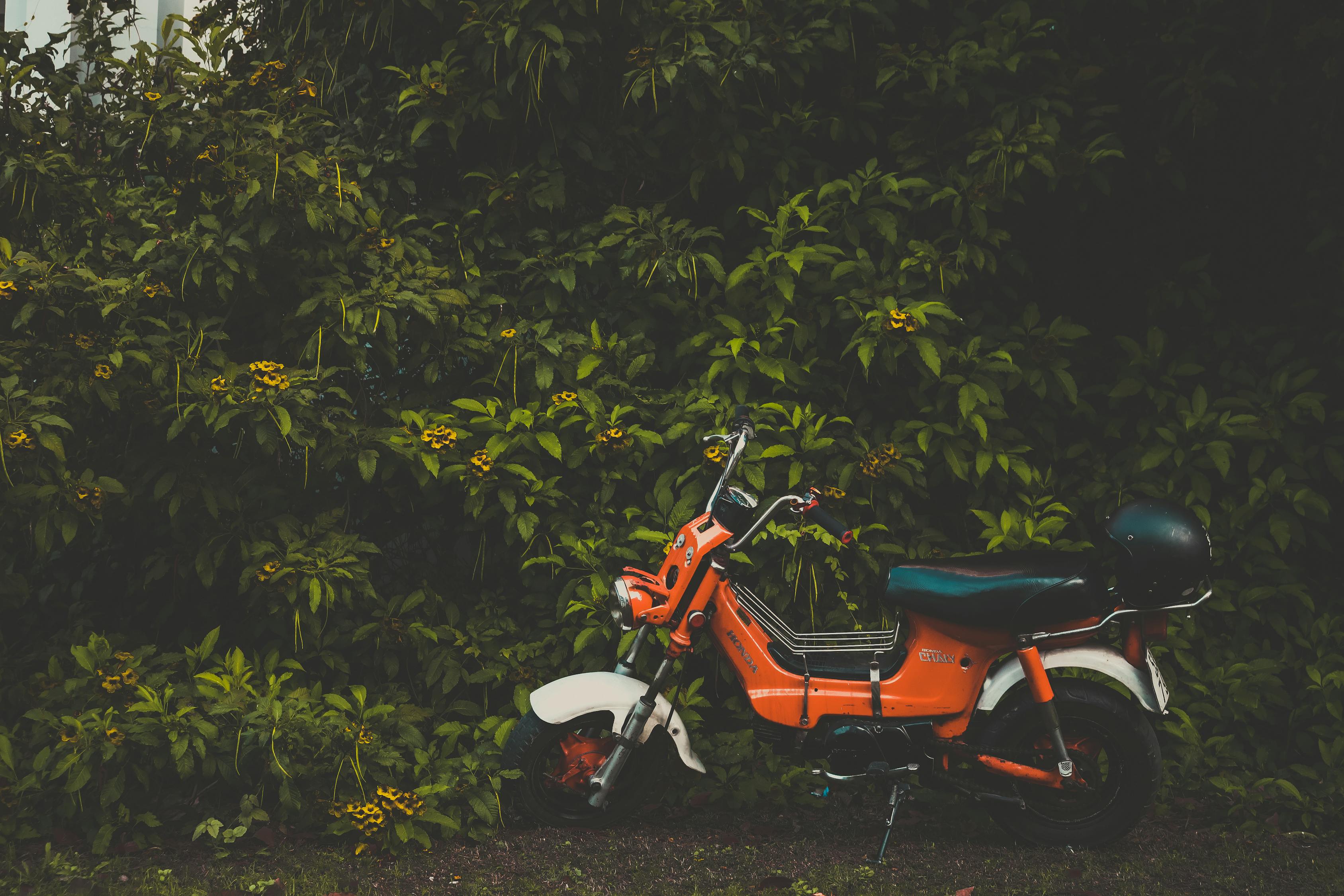 五羊本田鷙引領(lǐng)新時(shí)代摩托車技術(shù)革新，最新消息揭秘