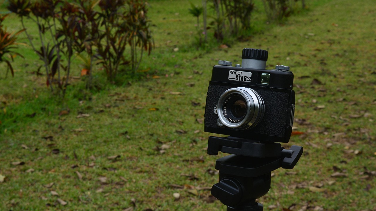 孔令輝與馬蘇的最新動(dòng)態(tài)，體育界耀眼明星的近況揭秘