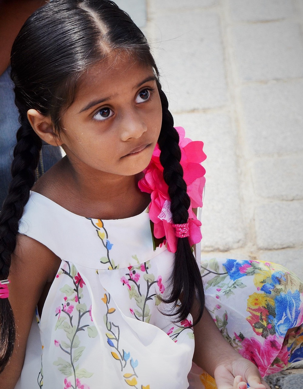 張佳寧最新力作電視劇，品質(zhì)與魅力的完美融合