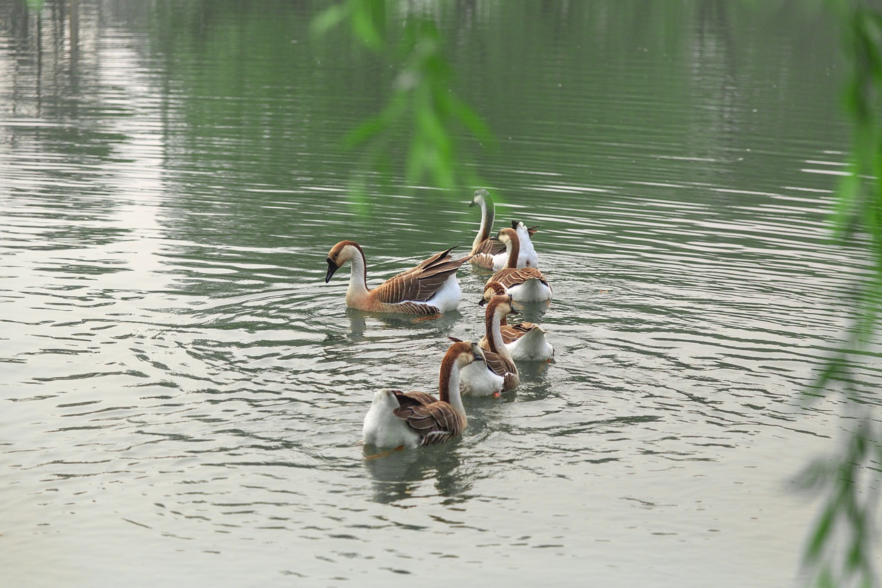 澳門科技大學(xué)最新消息綜述，發(fā)展動態(tài)與亮點展示