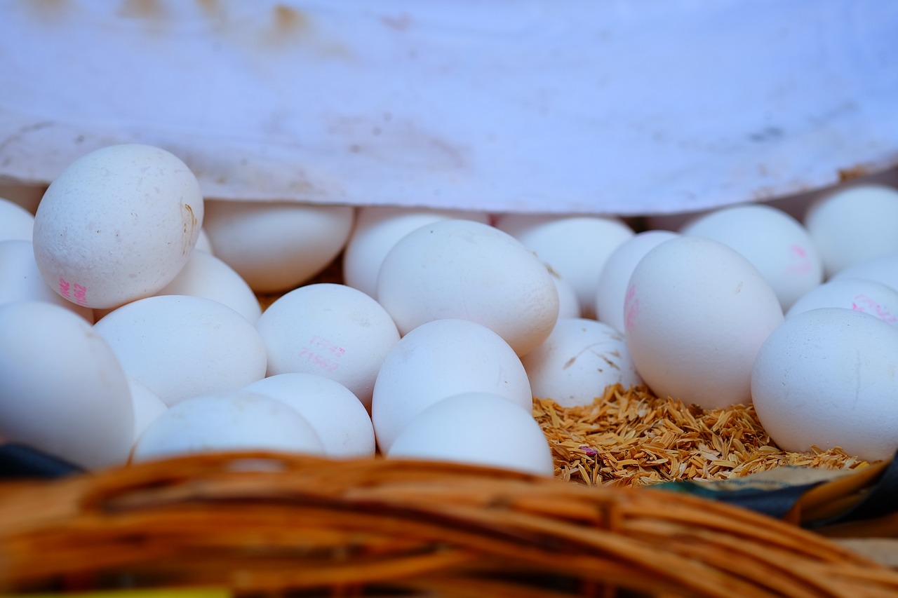 杭州網(wǎng)約車最新動態(tài)，行業(yè)變革與未來展望