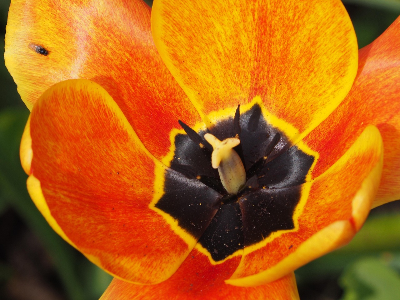 太和縣三堂鎮(zhèn)最新動(dòng)態(tài)更新