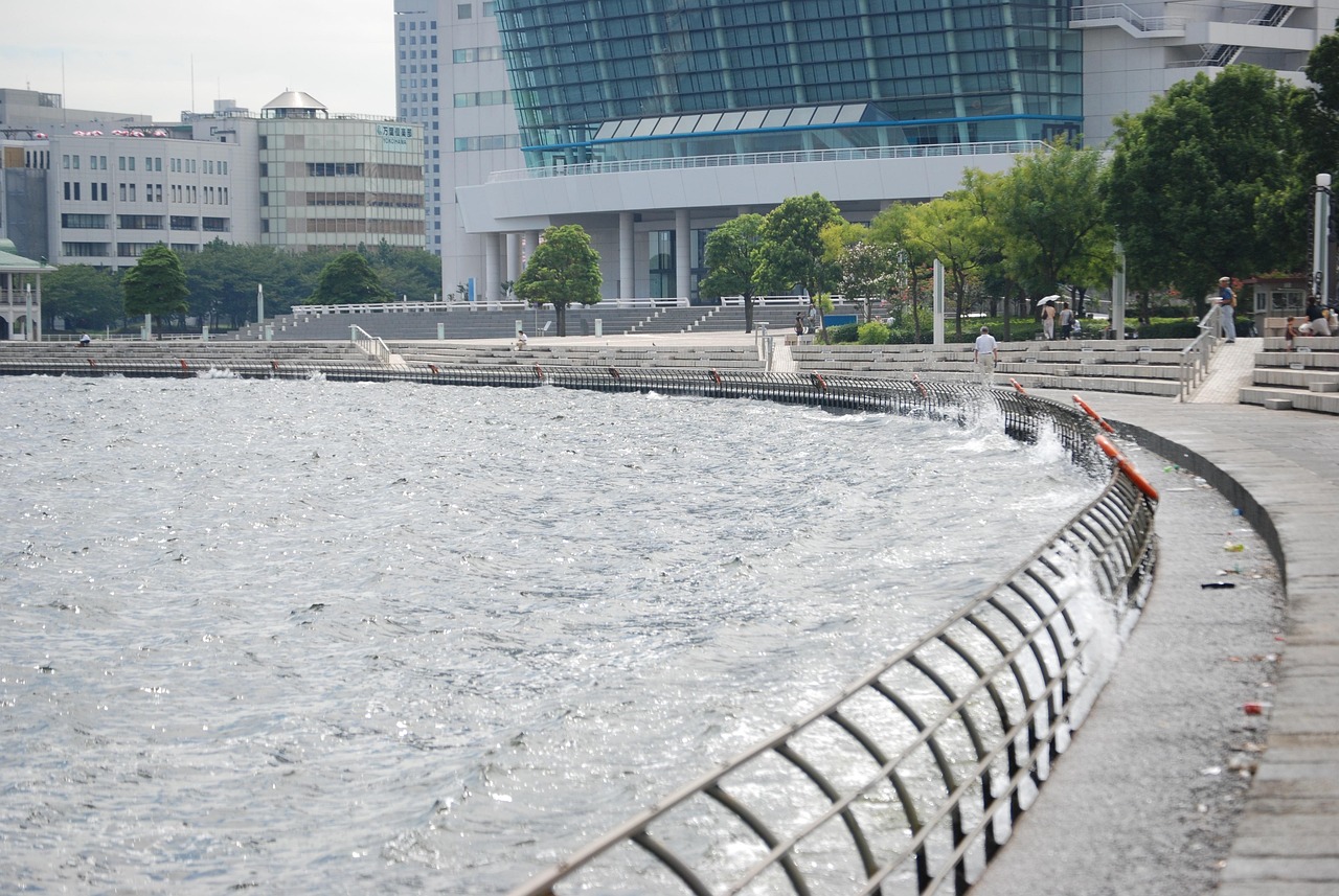 鄭州海昌海洋公園最新動(dòng)態(tài)揭秘，揭開(kāi)神秘面紗，展現(xiàn)海洋魅力奇觀