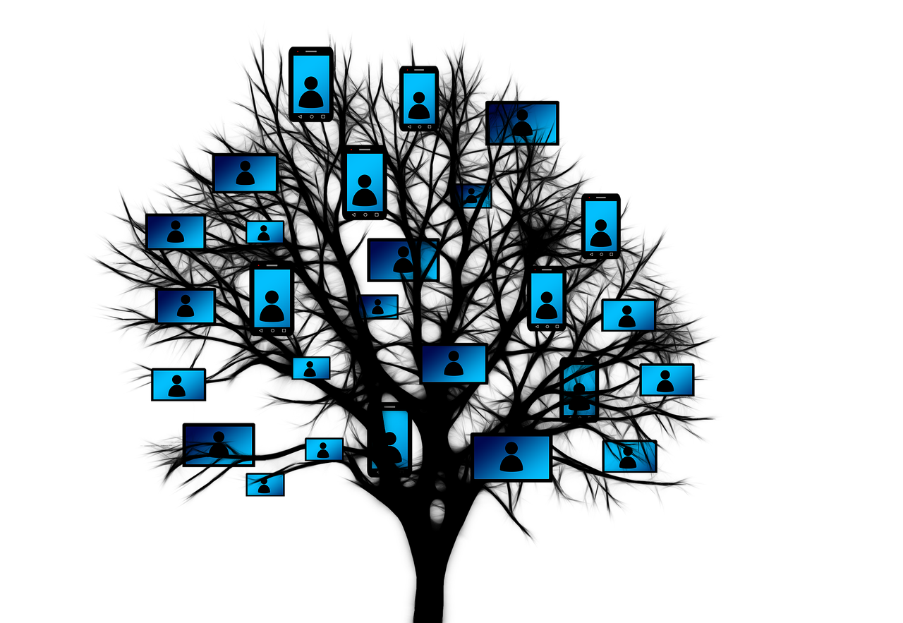 青海省招聘網(wǎng)最新招聘信息概覽及動(dòng)態(tài)更新通知