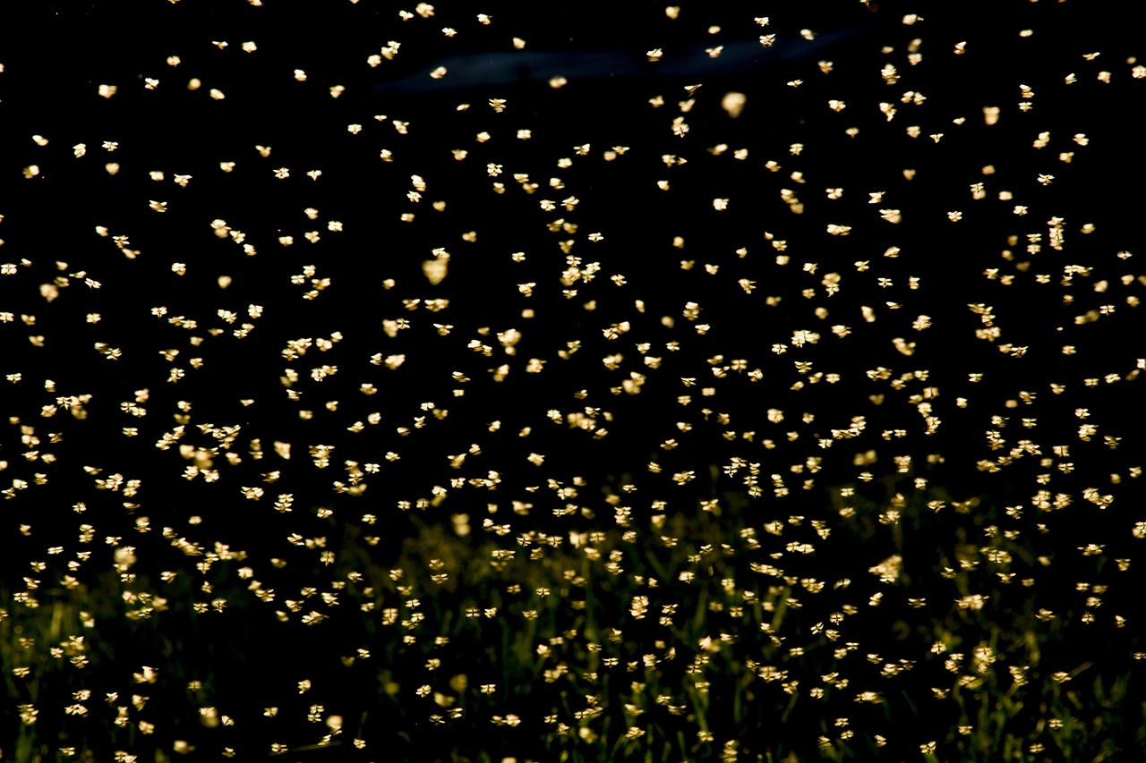 巢湖南路南延最新動(dòng)態(tài)，建設(shè)進(jìn)展及未來(lái)展望