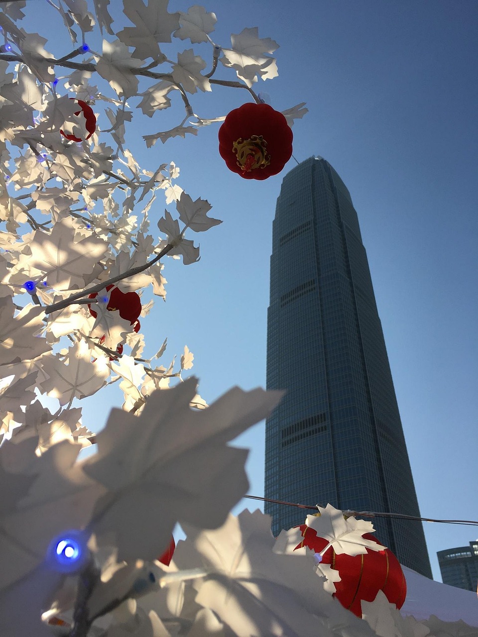 漫漫長夜新版本砍樹探索，全新體驗之旅