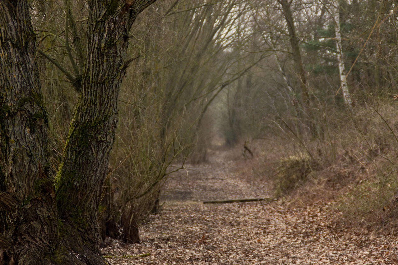 北京農(nóng)貿(mào)市場最新價格表及動態(tài)更新