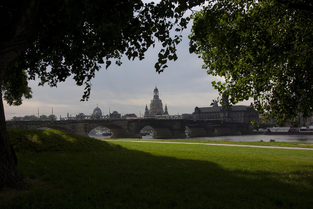成華圣燈公園最新進展，城市綠色心臟蓬勃生長