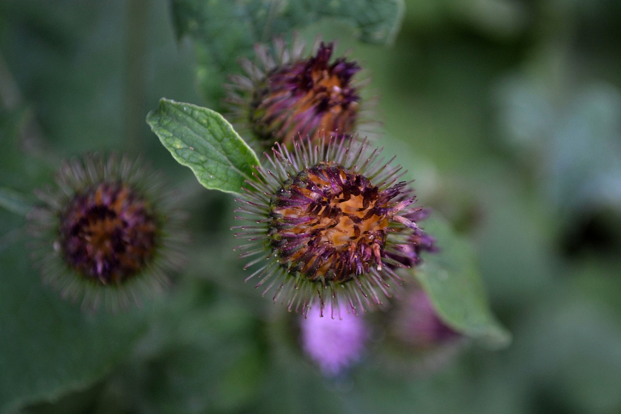 蕪湖市三山區(qū)最新招聘信息概覽，最新職位與招聘動(dòng)態(tài)全解析
