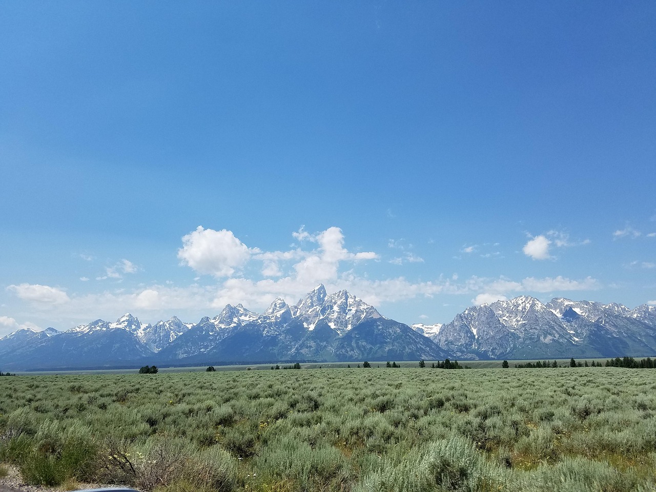 崀山犬木塘庫最新動(dòng)態(tài)，揭開神秘面紗下的壯麗景象揭秘