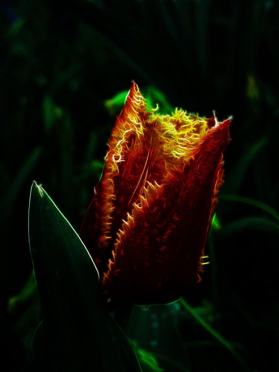 最新朵色產(chǎn)品進(jìn)貨價(jià)格表圖詳解，全面了解朵色進(jìn)貨價(jià)格動(dòng)態(tài)