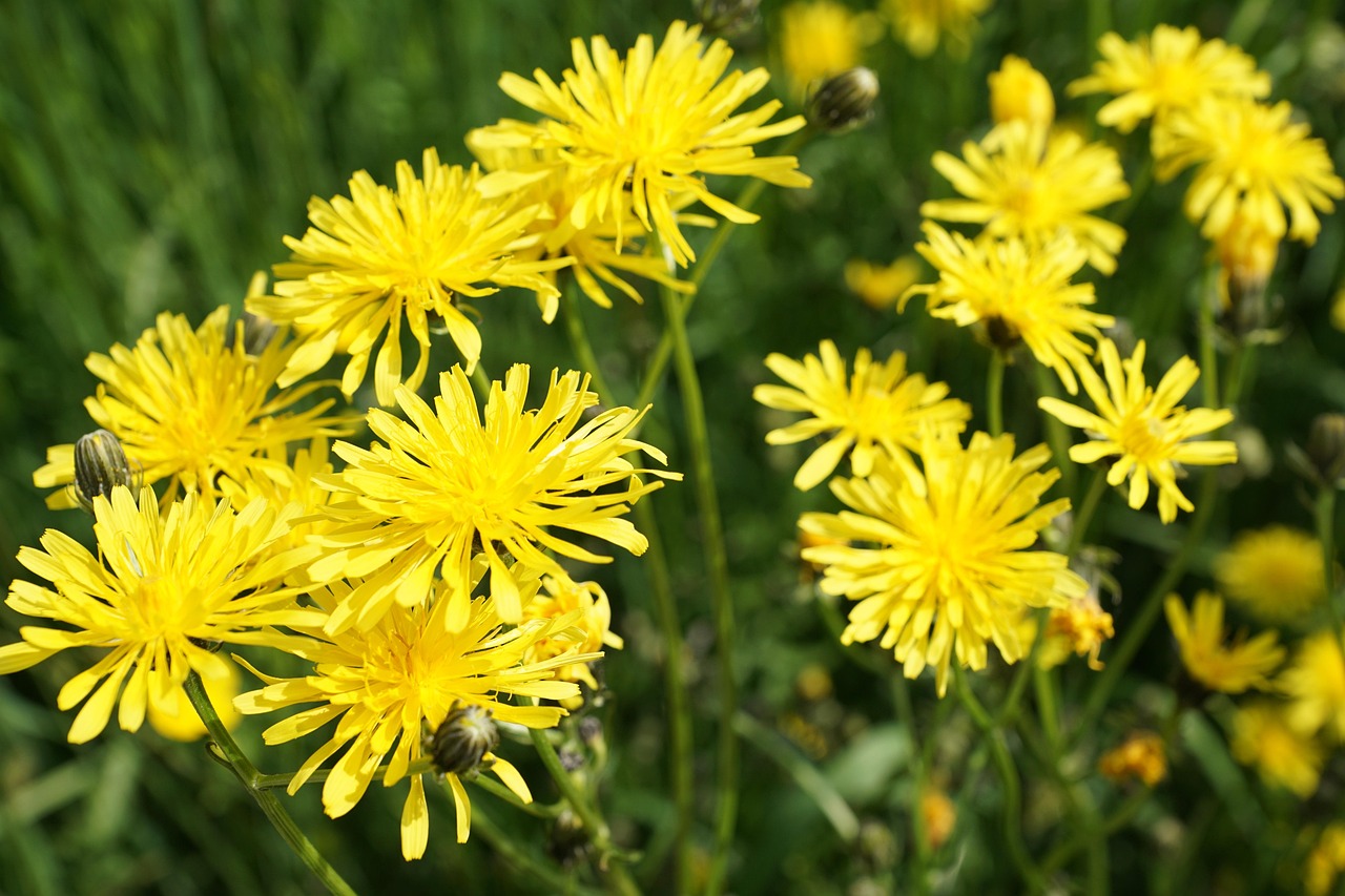 南駐阜蚌高鐵最新進(jìn)展報(bào)告，揭秘最新動(dòng)態(tài)與進(jìn)展里程碑