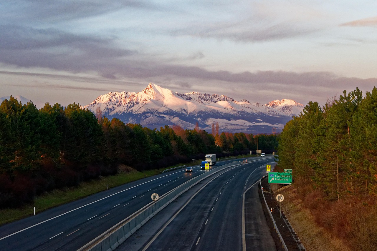 沈陽地鐵10號線最新線路圖概覽，最新線路圖一覽無余