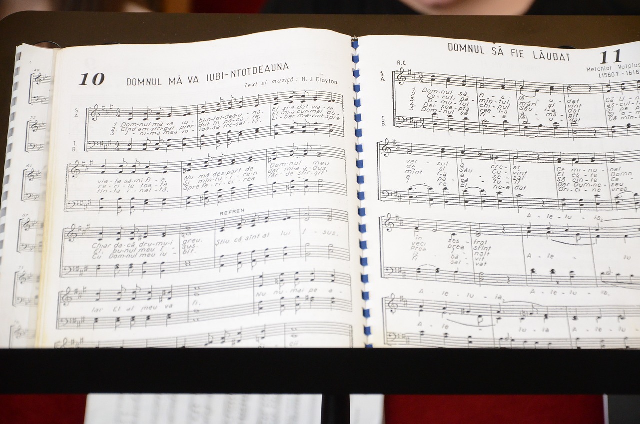 拾荒者符凡迪最新歌曲，城市音符中的獨(dú)特旋律