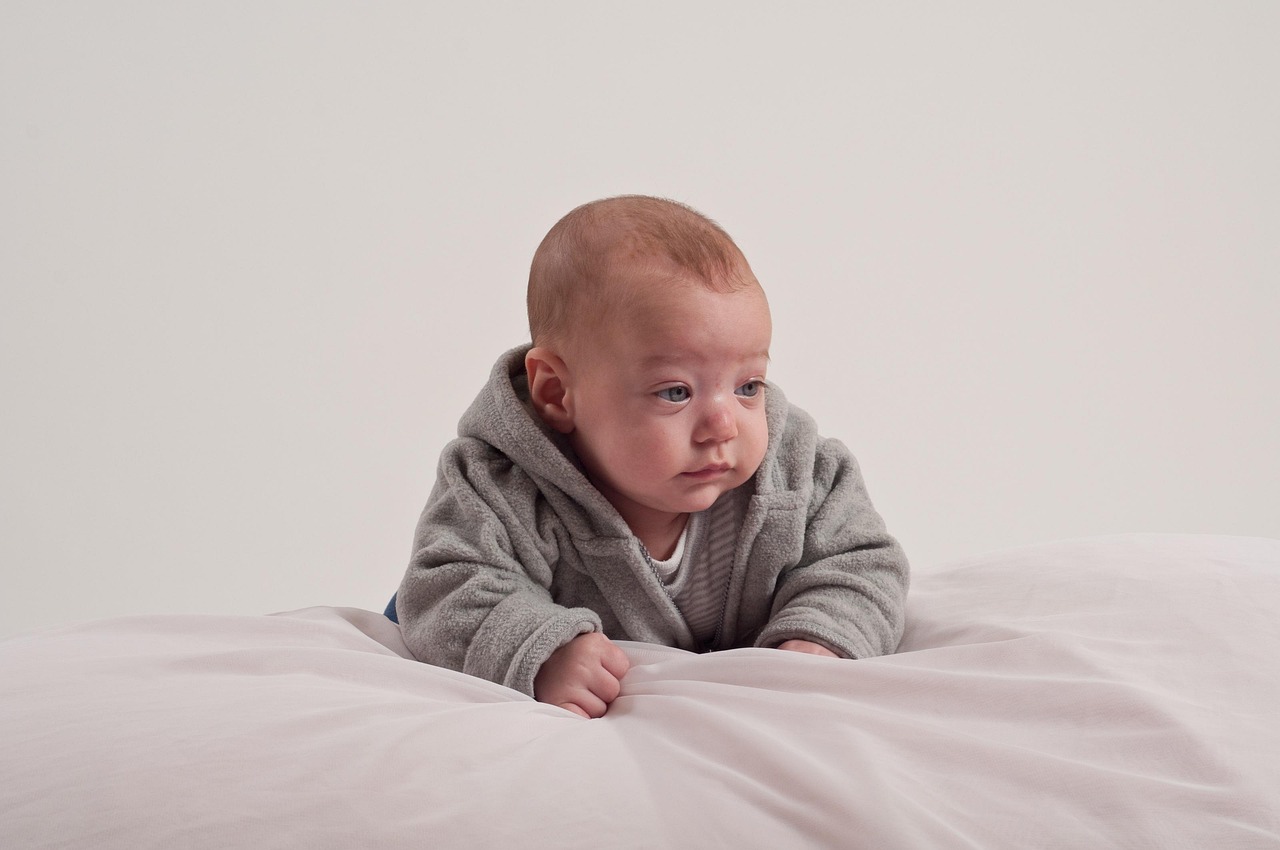 河口二手房最新出售信息，掌握房源動態(tài)，輕松選購理想居所