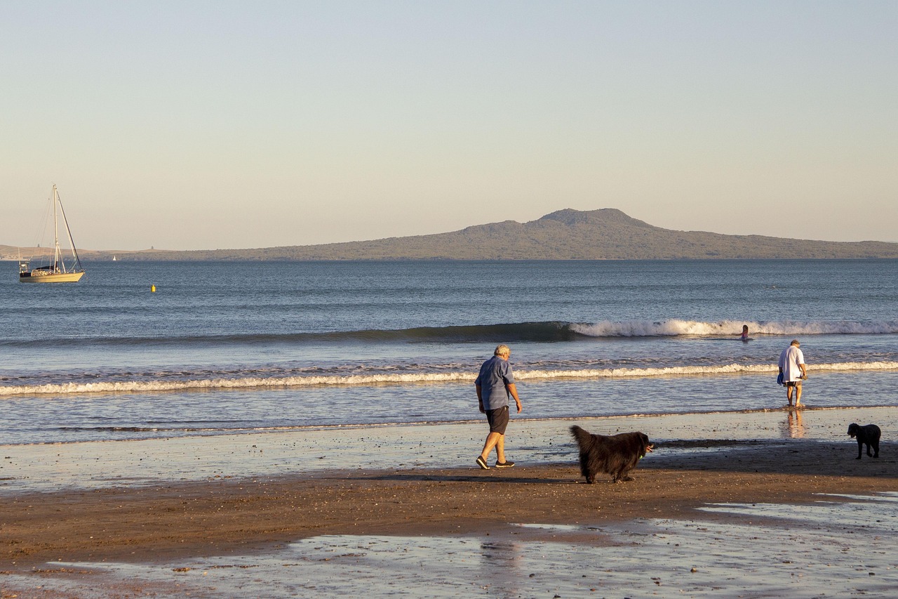 山西退休職工養(yǎng)老金調(diào)整最新動(dòng)態(tài)，改革進(jìn)展、未來展望與調(diào)整消息速遞