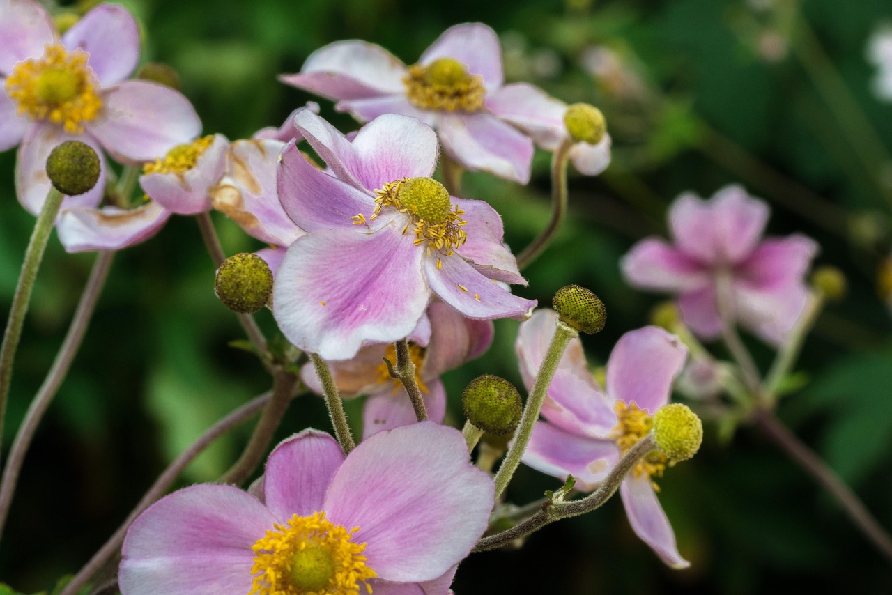 馬刺最新動(dòng)態(tài)，持續(xù)進(jìn)化，蓄勢(shì)待發(fā)啟航新征程