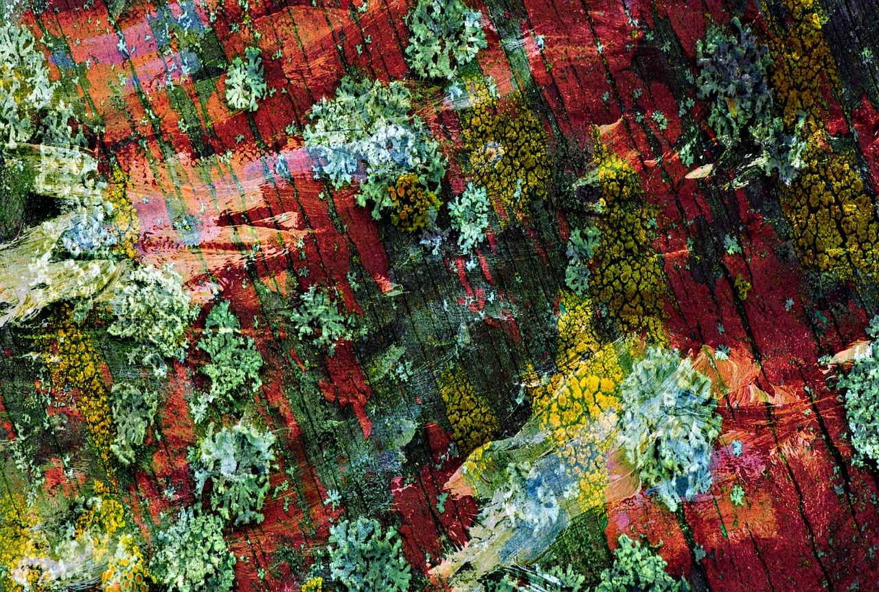 自然與現(xiàn)代交融的山野雜家新風貌，鄉(xiāng)村新篇章