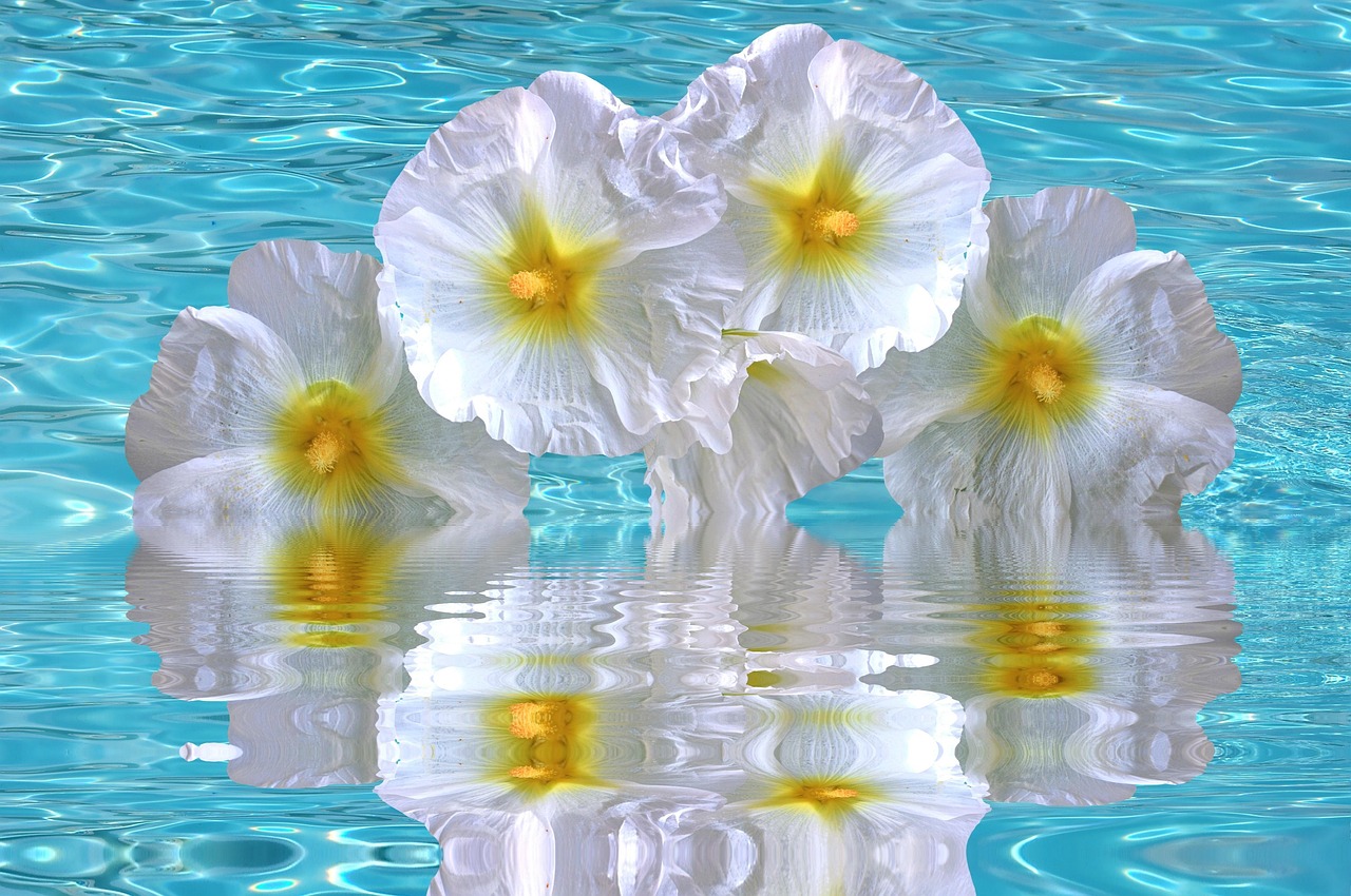 加勒比海域動(dòng)態(tài)更新，海盜活動(dòng)頻繁，警惕性需提升（最新報(bào)告 06月15日）